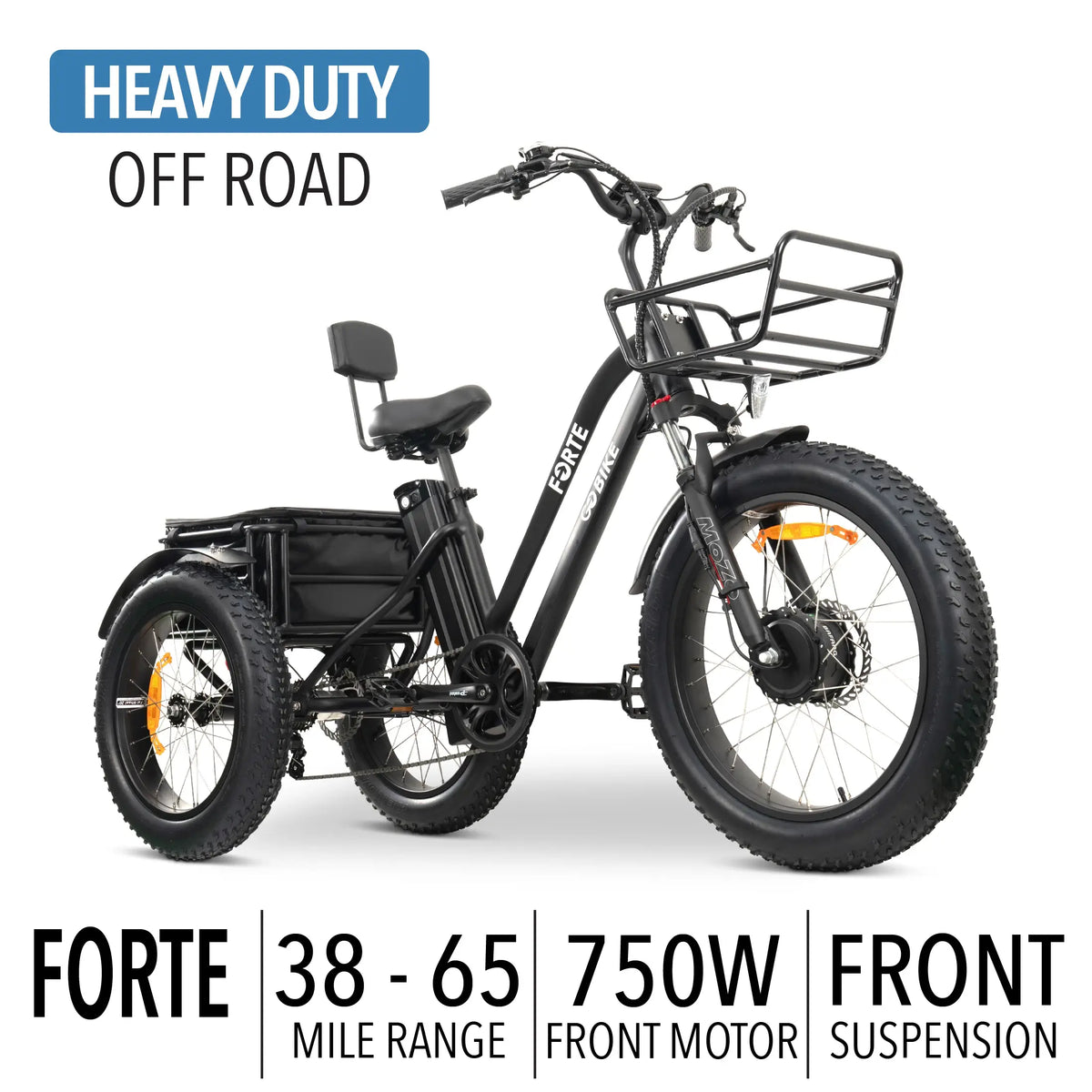 GoBike FORTE Electric Tricycle in Black with Specs