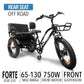 GoBike  FORTE Electric Tricycle with Rear Seat