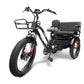 GoBike  FORTE Electric Tricycle with Rear Seat