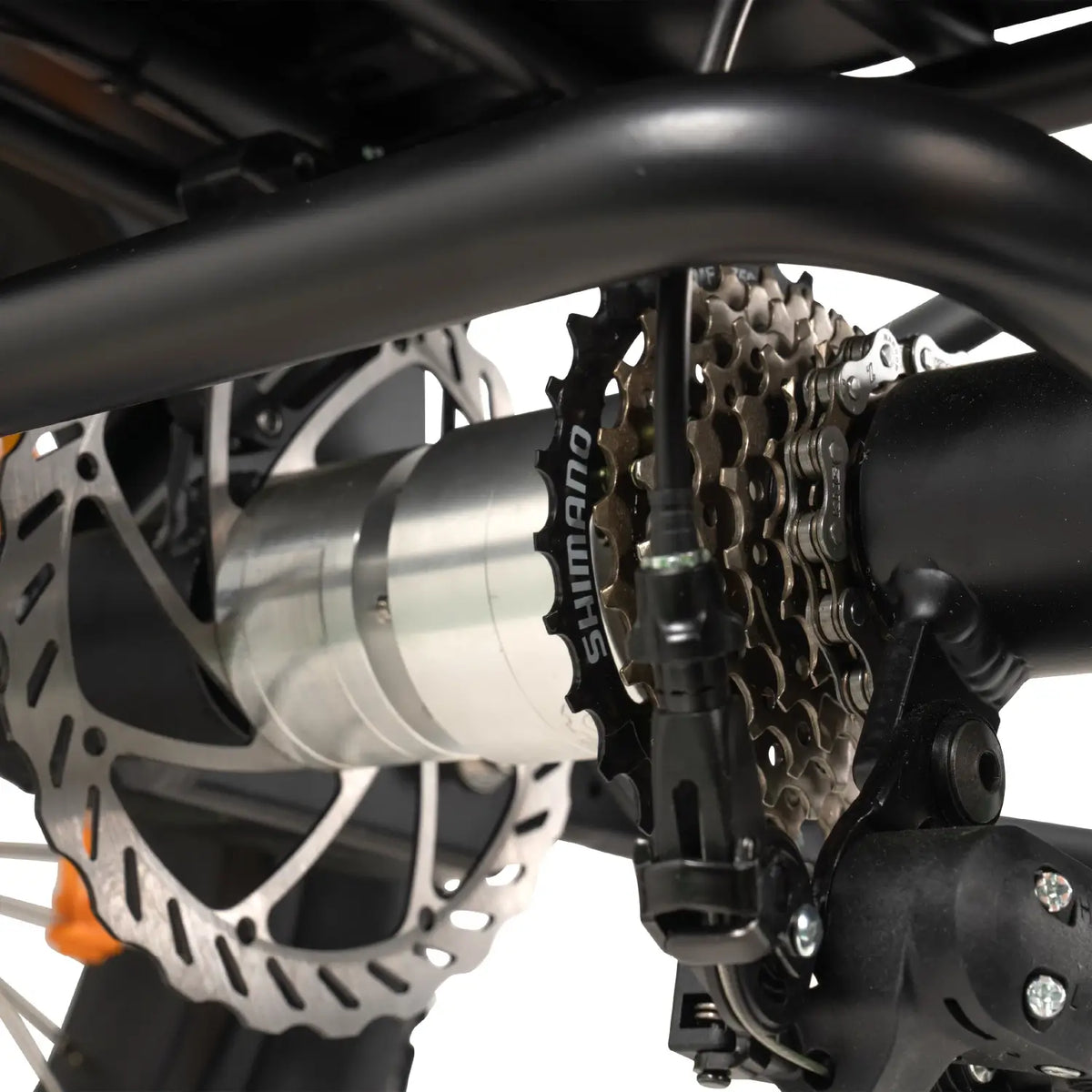 GoBike FORTE Electric Tricycle in Gear System