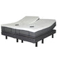 Golden Passport Hi Low Adjustable Bed Twin XL King