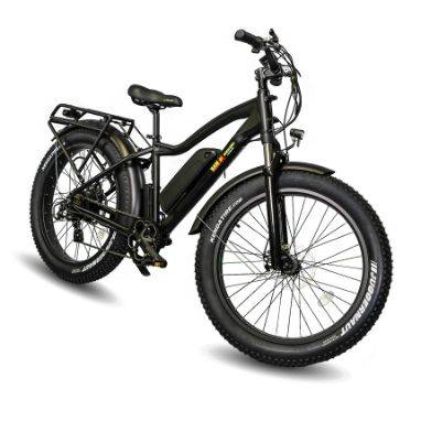 EWheels BAM EW-Supreme Electric Bicycle in Black